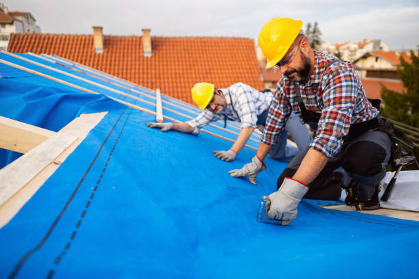 Best Roof Gutter Cleaning  in Buckhead, GA